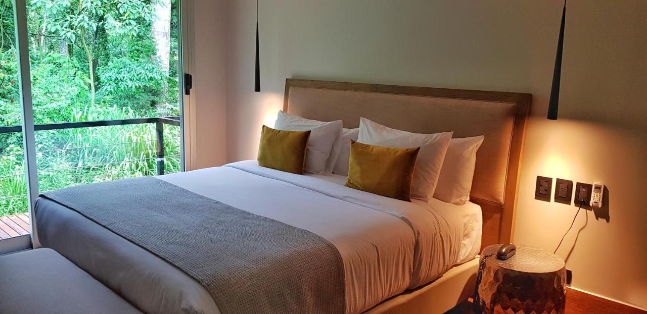 image_2432610_original