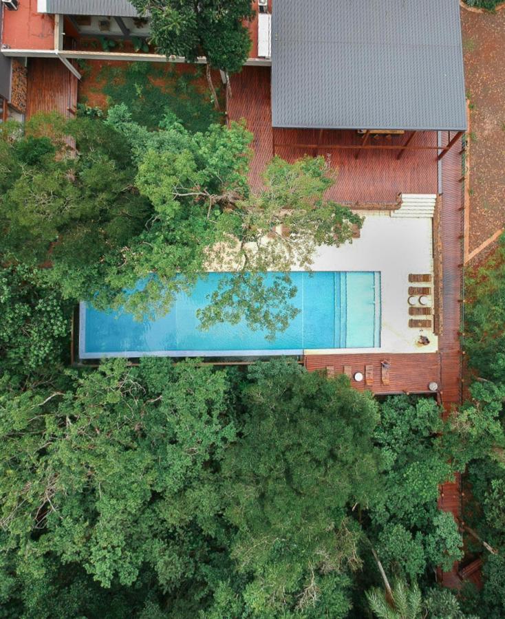 image_2432629_original