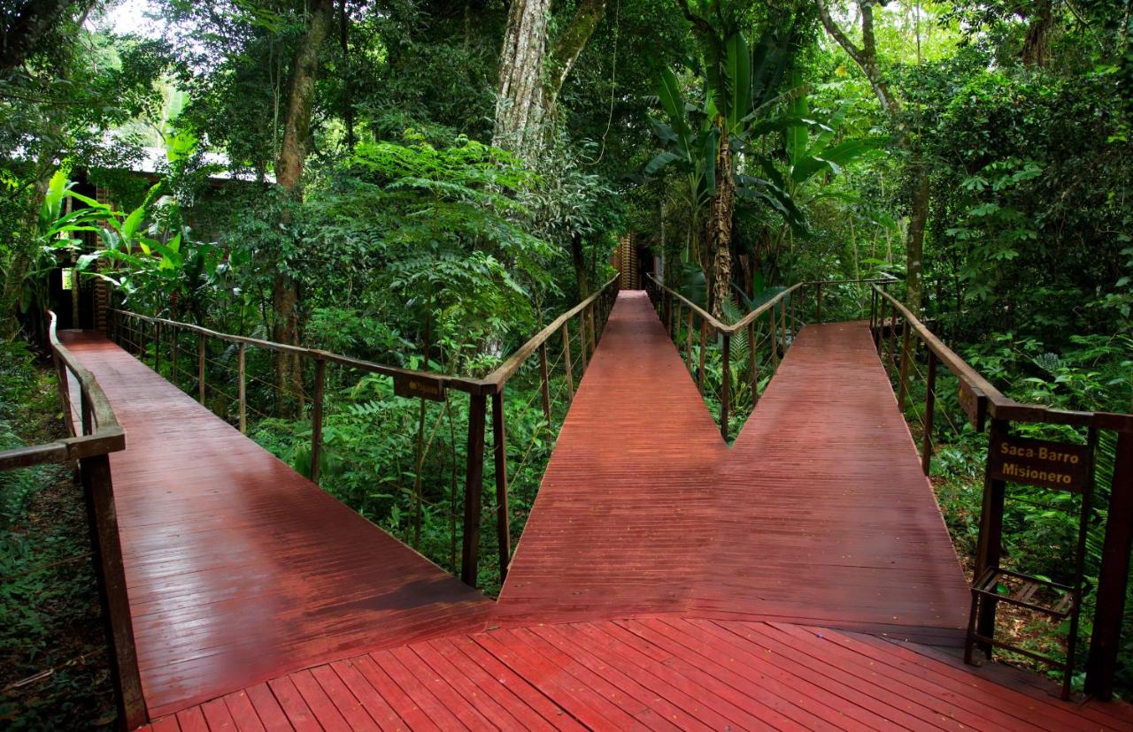 image_7022731_original