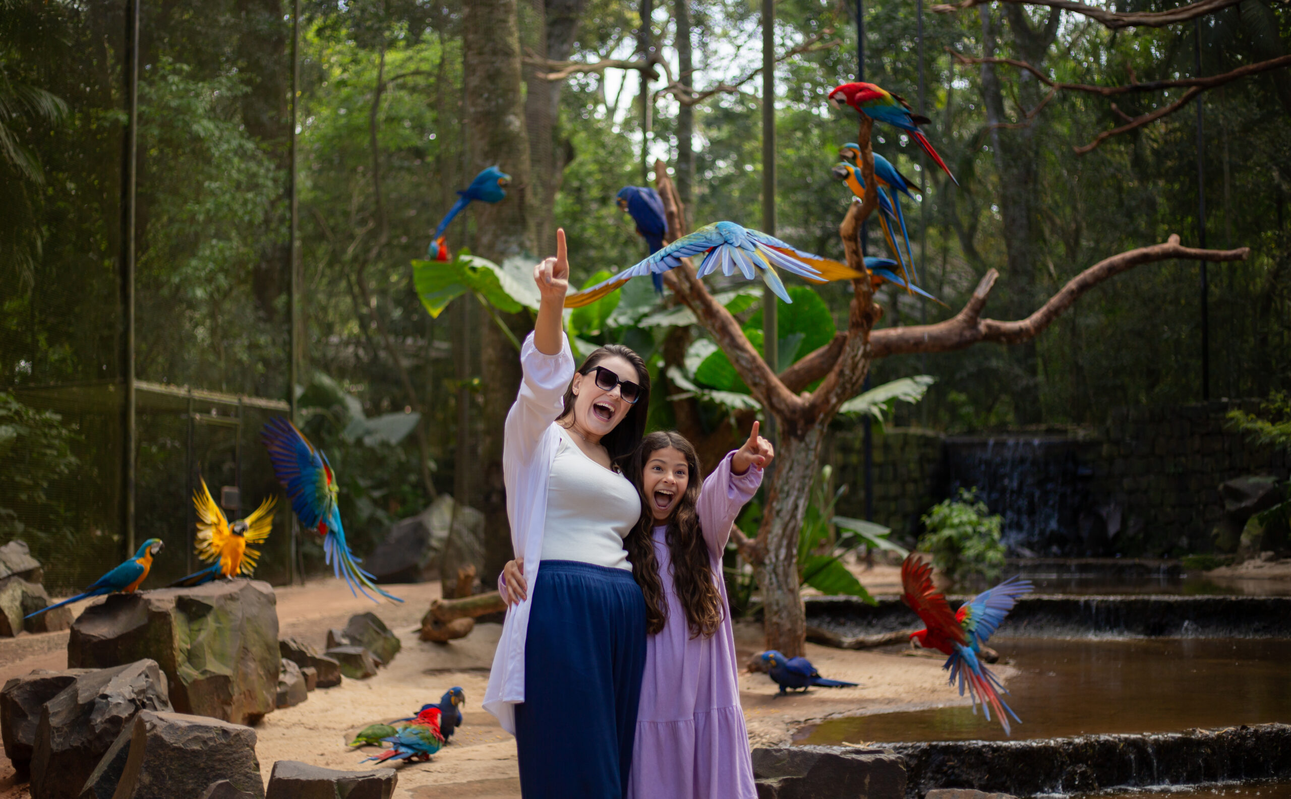 Parque das Aves - Lauke Tours
