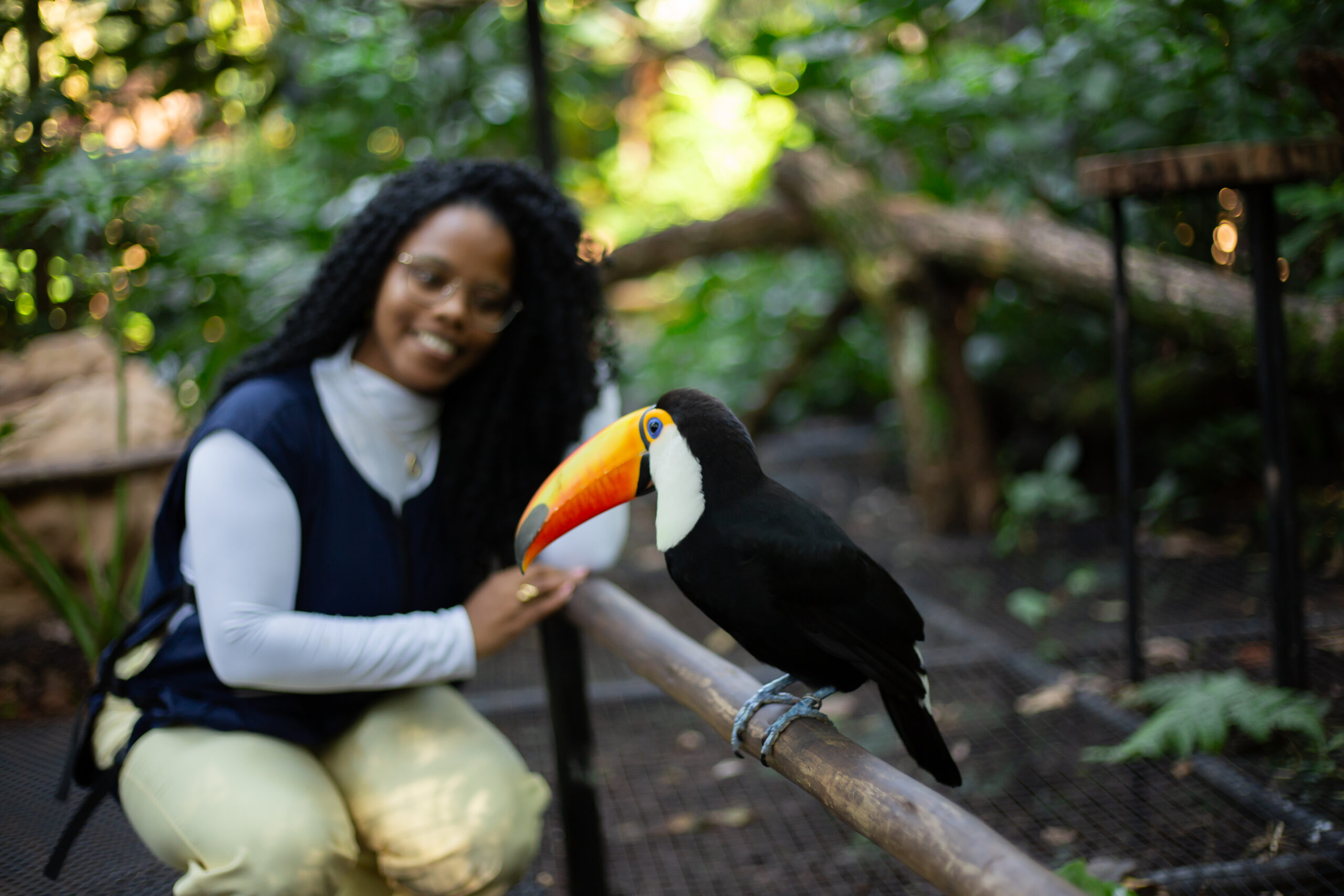 Parque das Aves - Lauke Tours