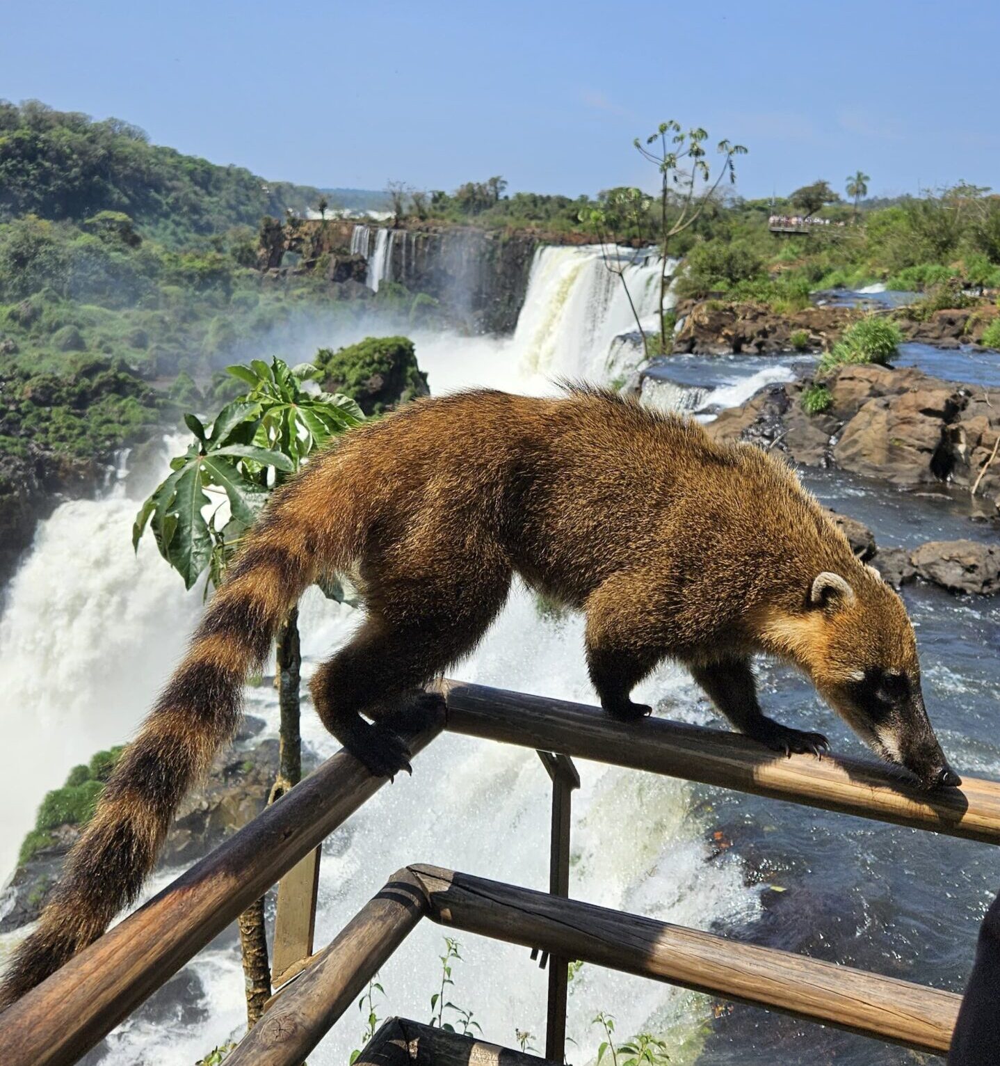 Cataratas Argentinas - Lauke Tours