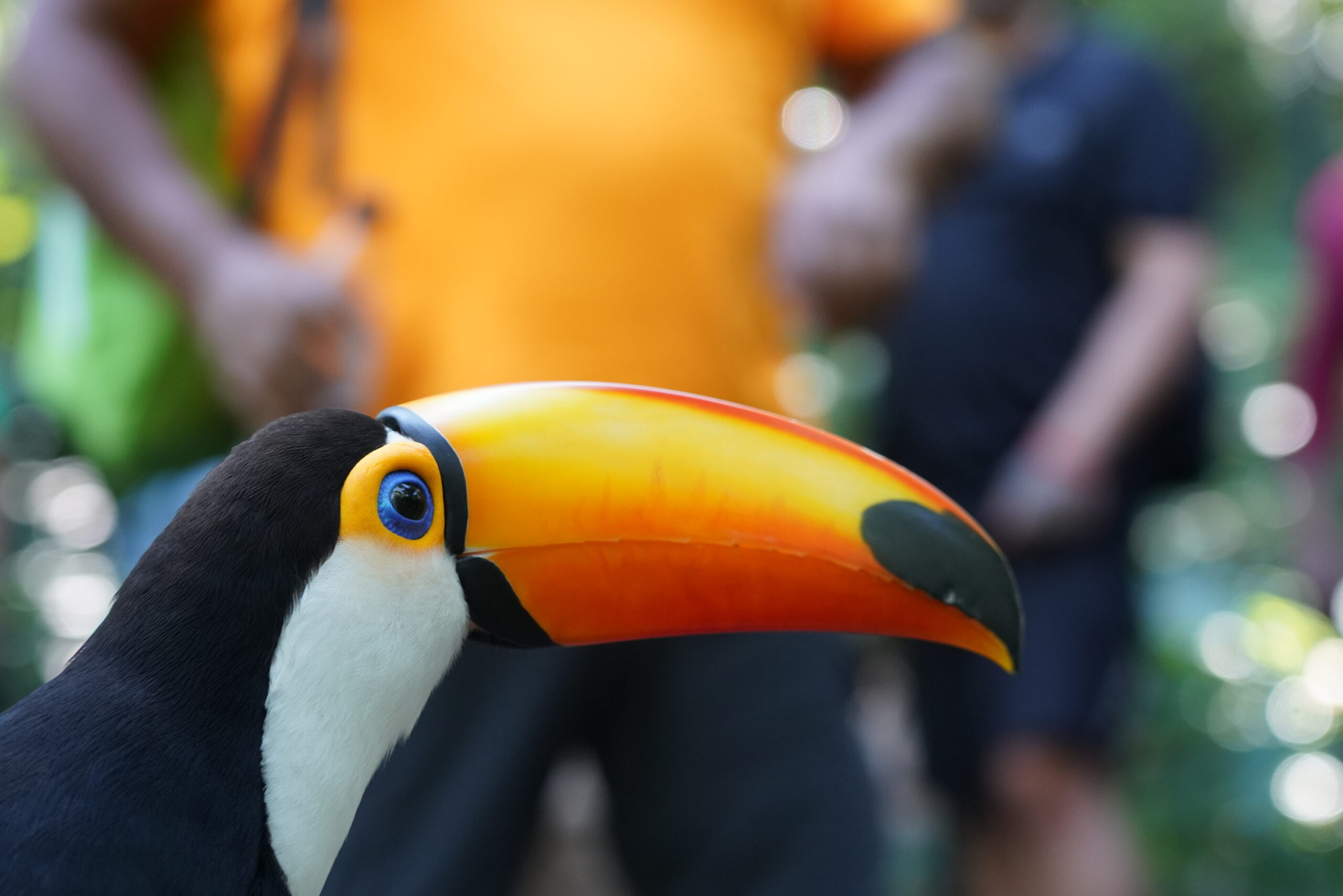 Parque das Aves - Lauke Tours