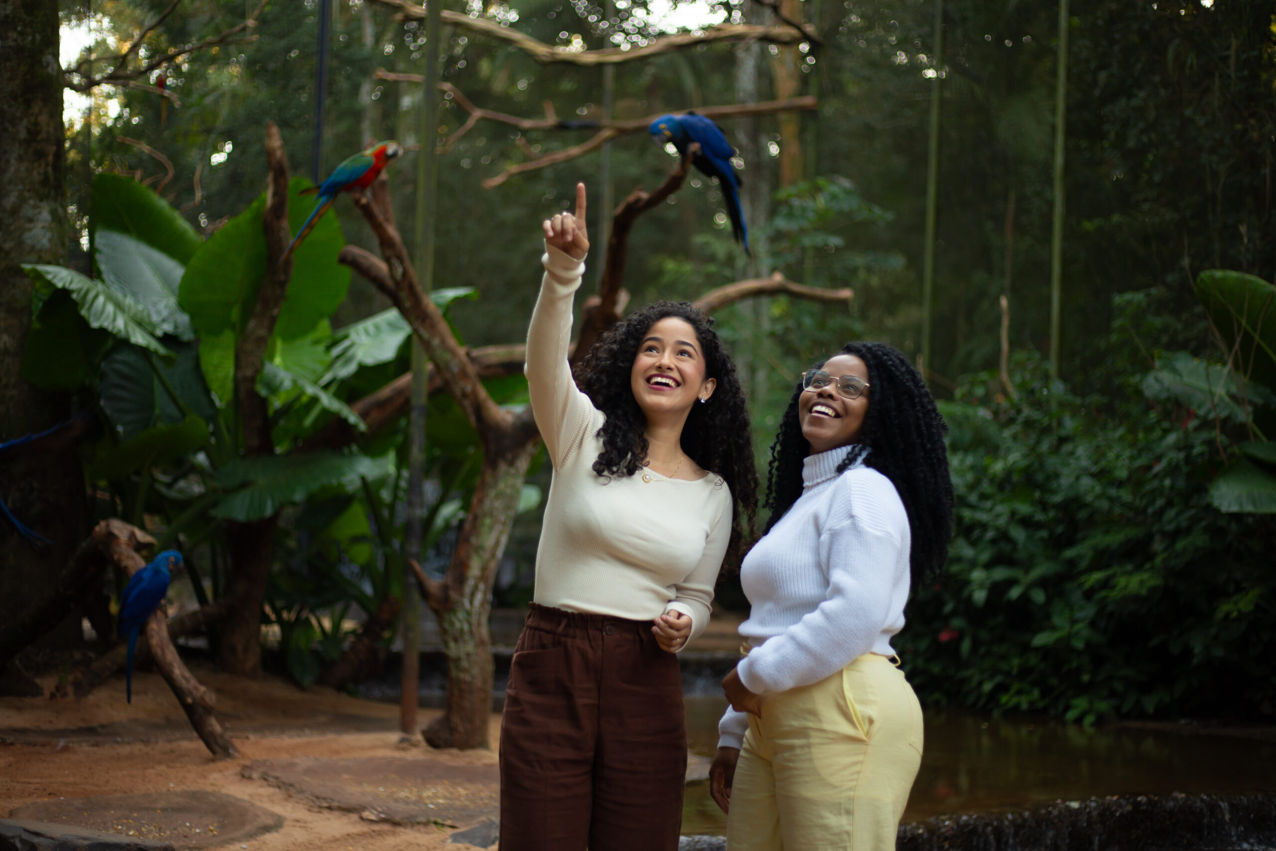 Parque das Aves - Lauke Tours